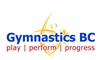12 gymnasts named to Team BC for the Western Canada Summer Games